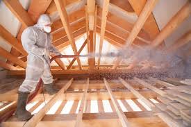 Best Eco-Friendly or Green Insulation Solutions  in Carroll, IA